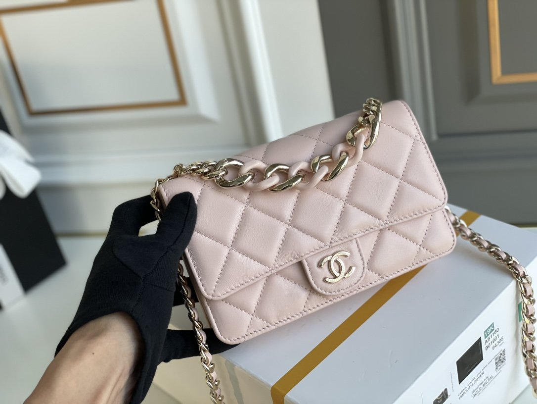 Chanel WOC Bags